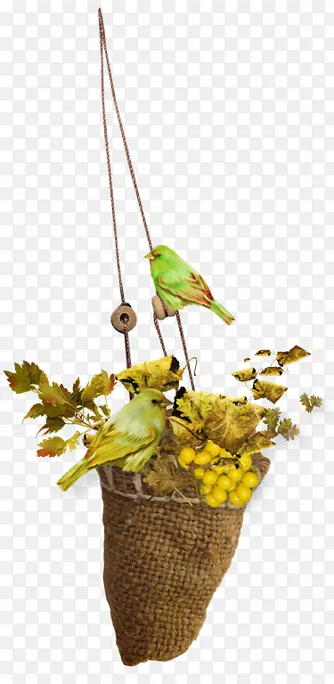 ��ɫëȸˮ����-������