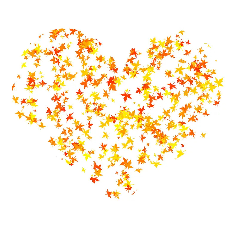 ���� ��Ҷ ����-������