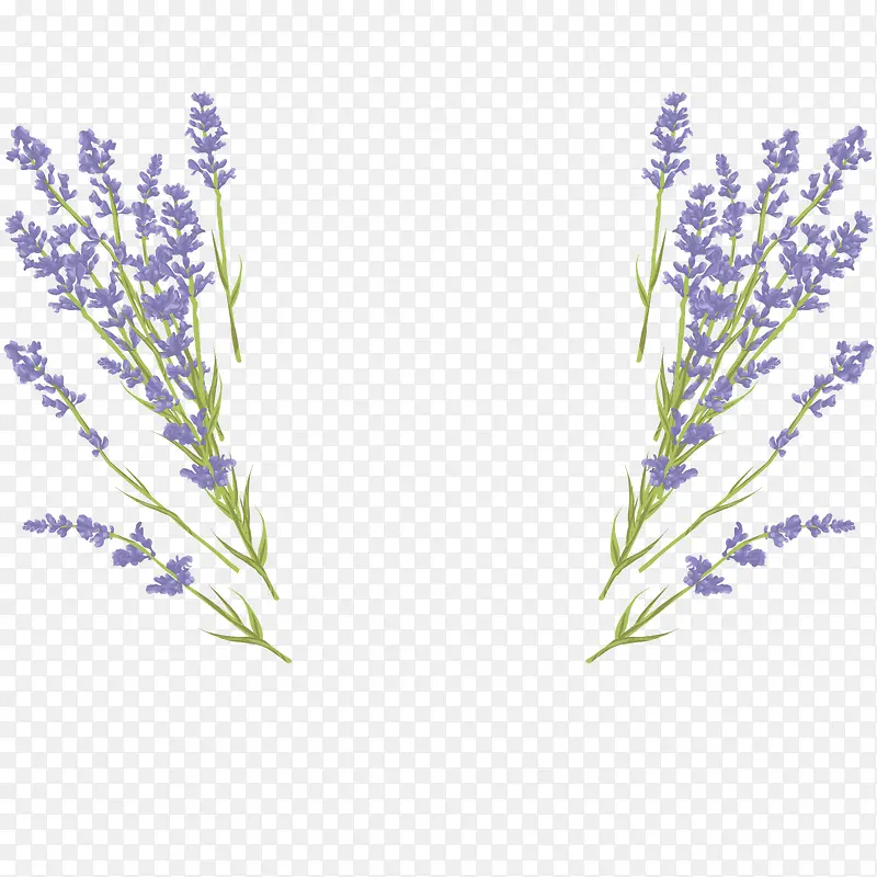 �����ÿ���޹�²�-������