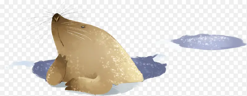 ���պ��࿨ͨ�ɰ�-������