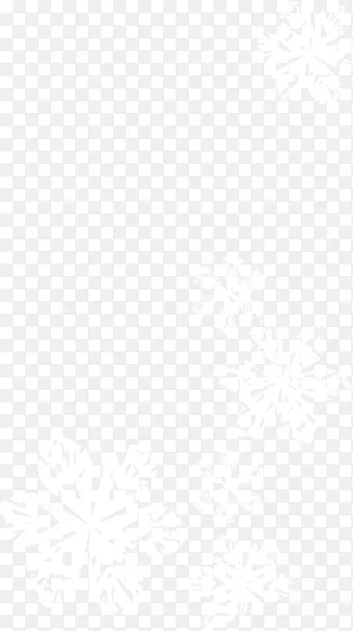 ����ѩ����������-������