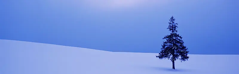 ����-������