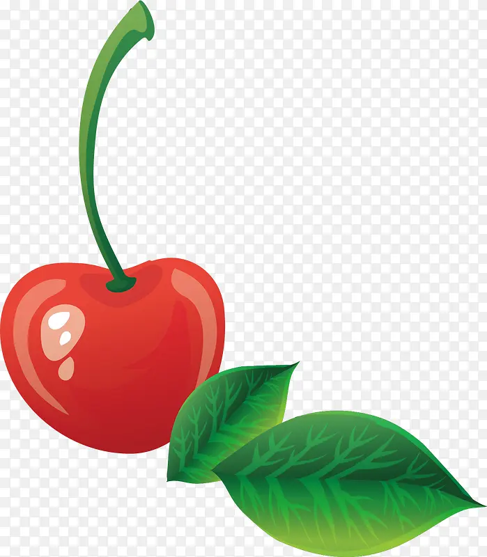 ��ͨӣ��-������