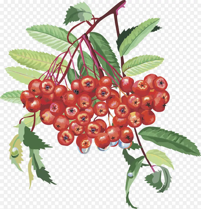 ˮ��ʸ��ͼ������ӣ��-������