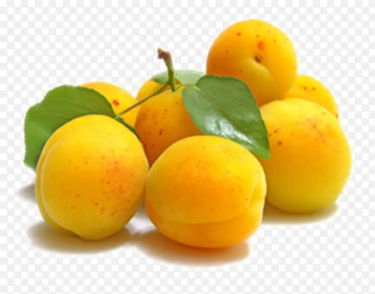 ����-������