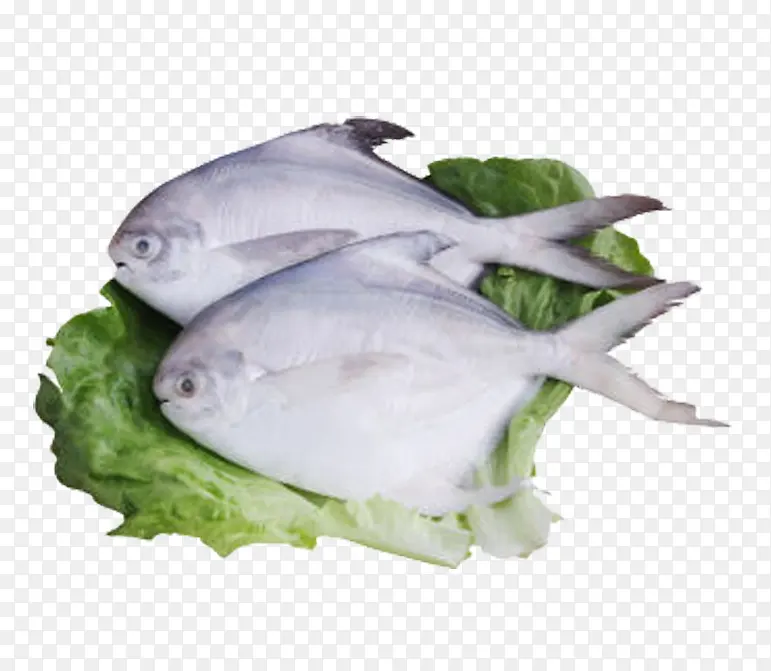 ���㺣��-������