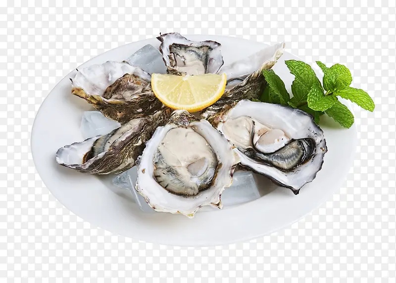 �������-������