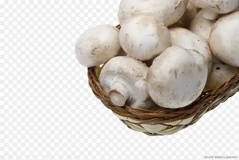 �����߲�-������