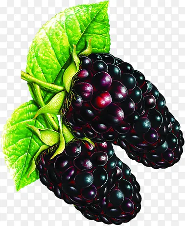 ��ɫ����ˮ�����-������