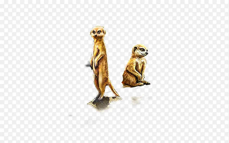 ���ض���-������