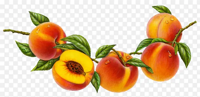 ����ˮ��-������