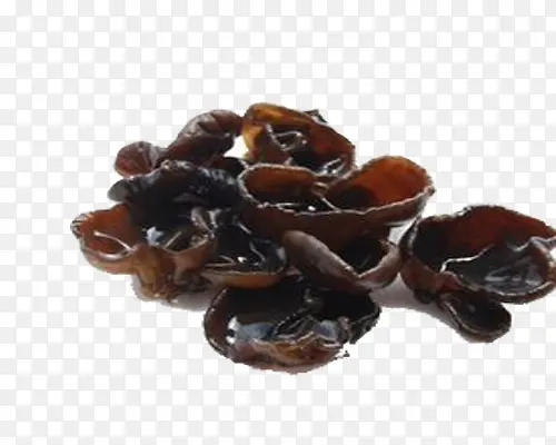 ��ʳ��-������