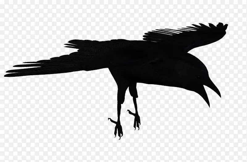 ����-������