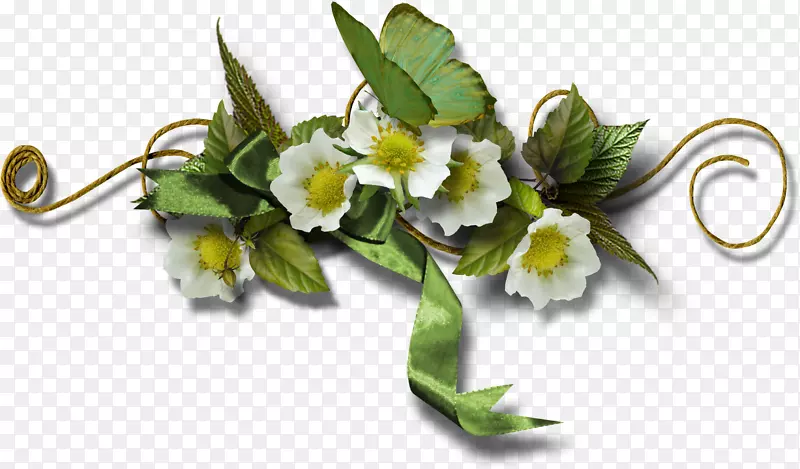 ��ʮ��-������