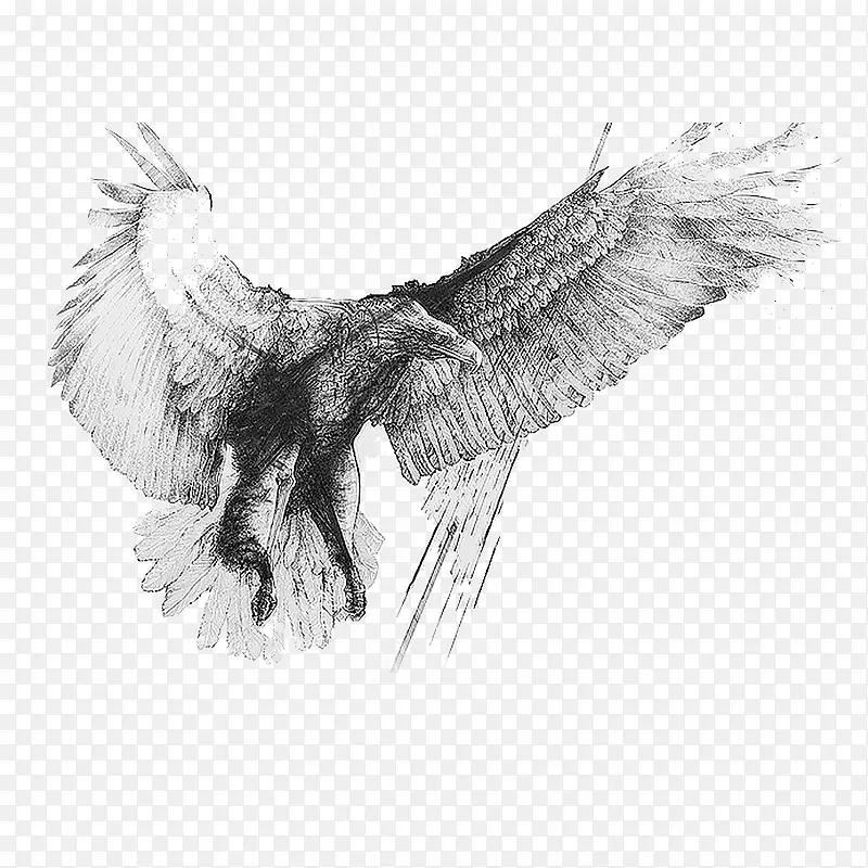 ���� ӥ-������