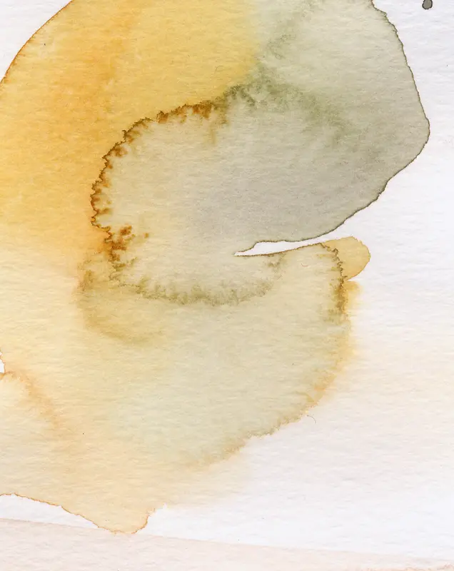 ��ɫˮ��Ϳѻī��-������