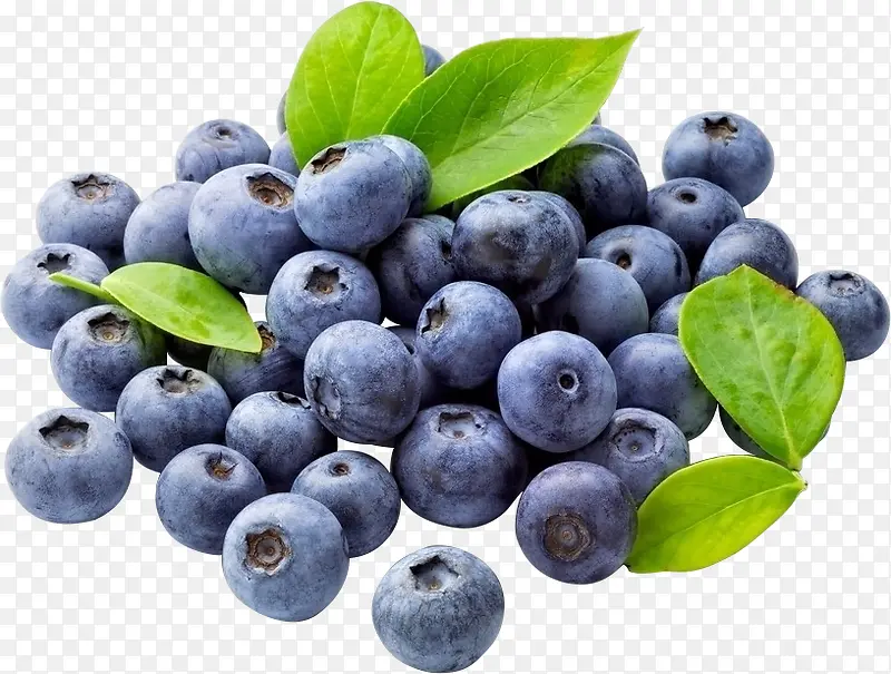 ������Ҷ��ݮˮ��-������