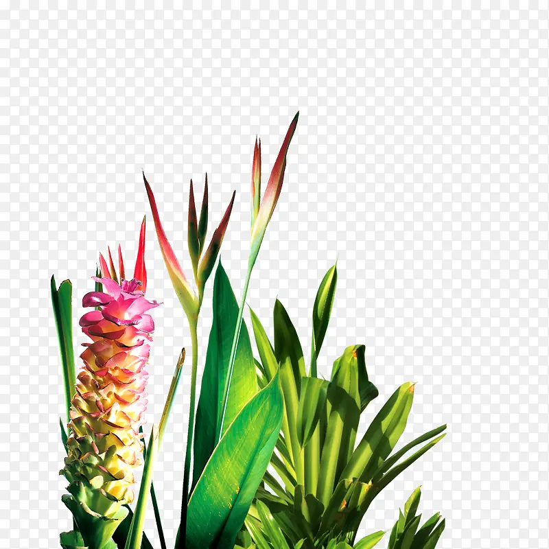 ���� �̲� ������Ҷ-������