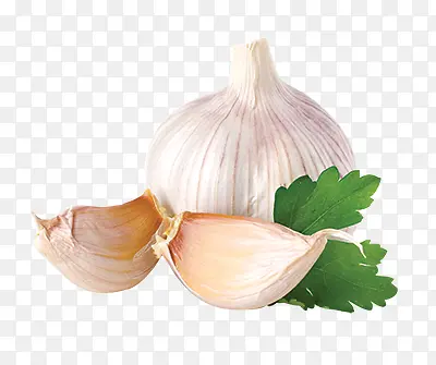 ��Ҷ��ɫ��ͼƬ-������