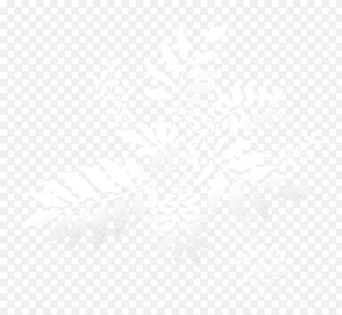 ��ɫ͸��Ҷ��-������