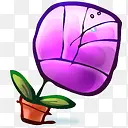 ����Ǿޱ-������