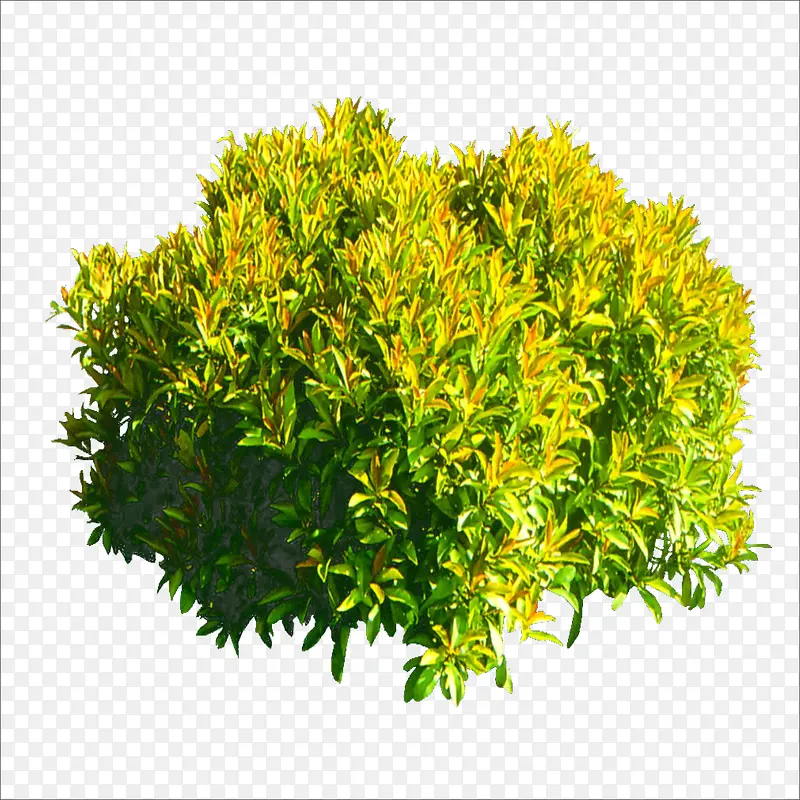 �ݶ�-������