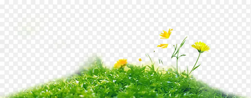 �ݶ�-������