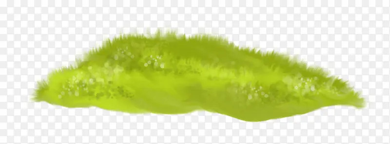 �ݶ�-������