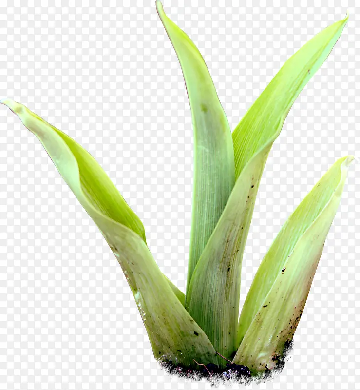 ��-������