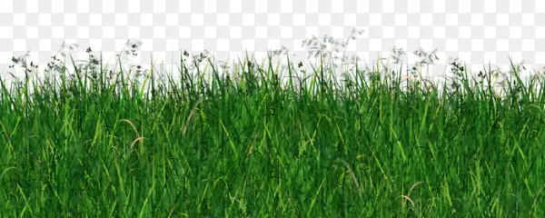 �ݶ�-������