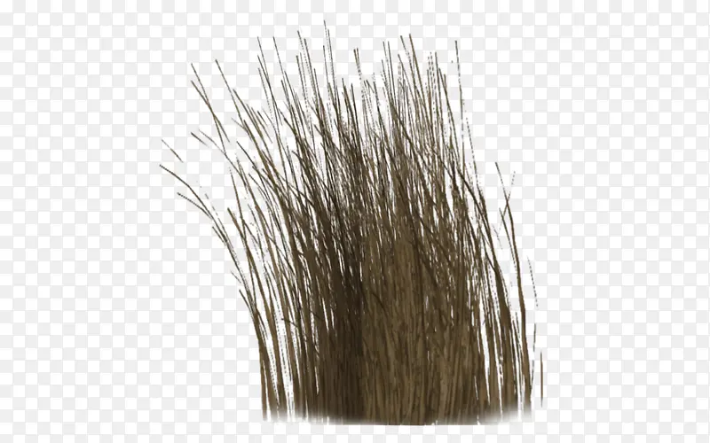 һ�Ѳ�-������