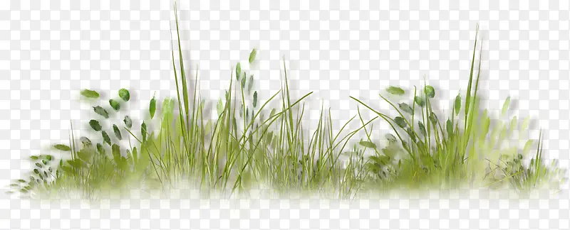 ��ͨ�̲���ɫ�ݶ�-������