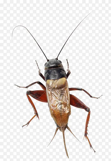 ������-������