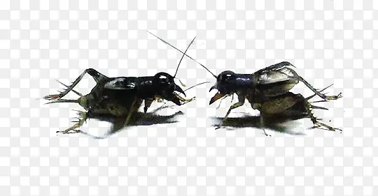 ������-������