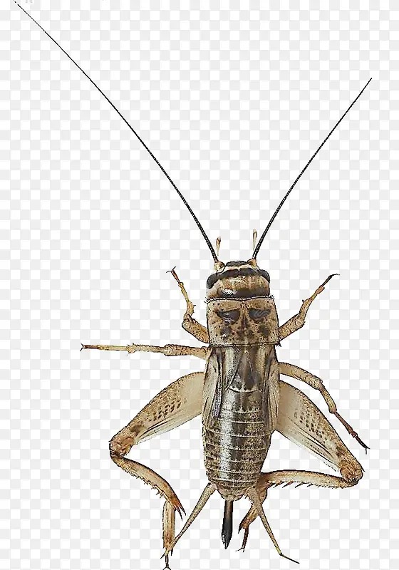 ������-������