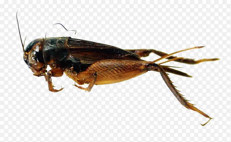 ��-������