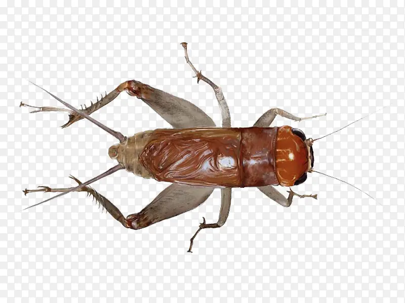 ��-������