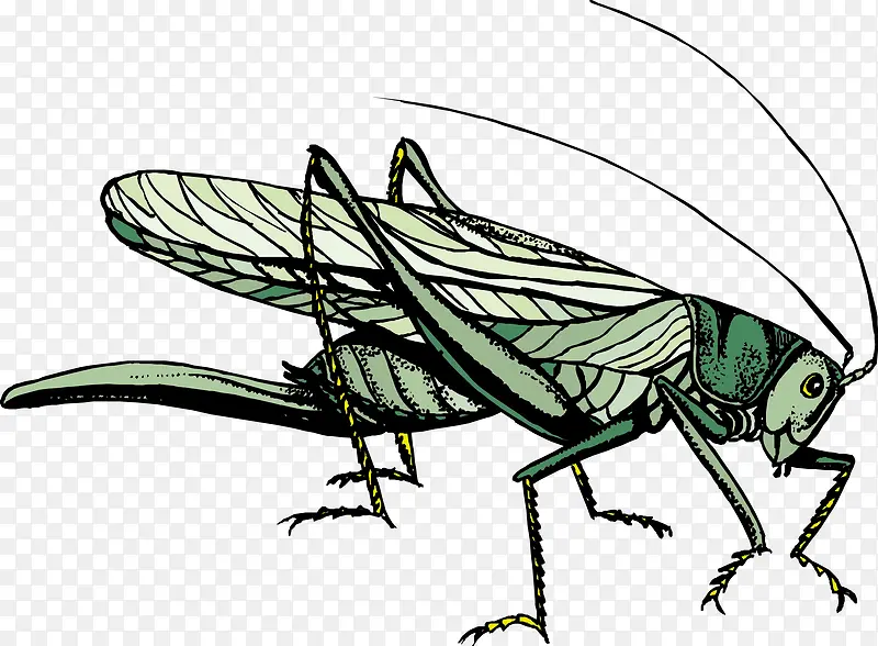 ����ʸ���ز�-������