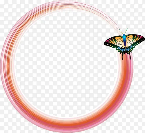 �ʵ�-������