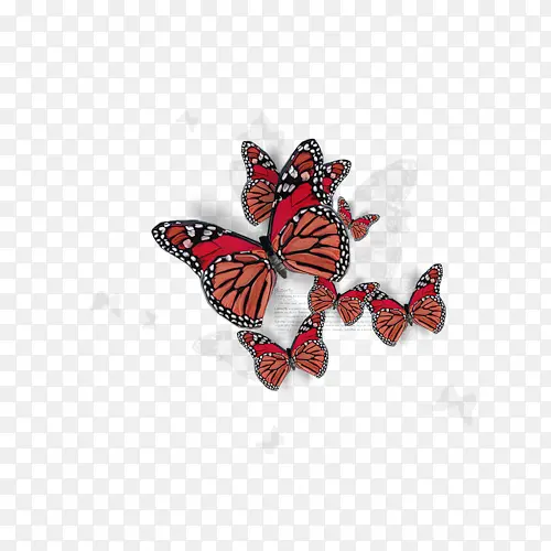 ����-������