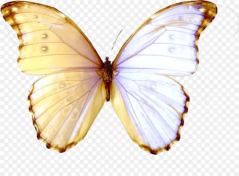 ���� ���� �걾-������