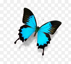 ����-������