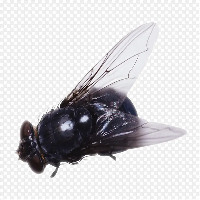 ֪��-������