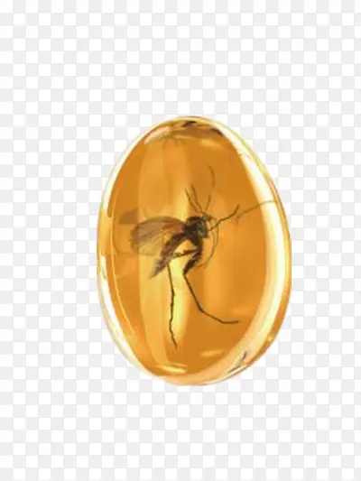 ����-������