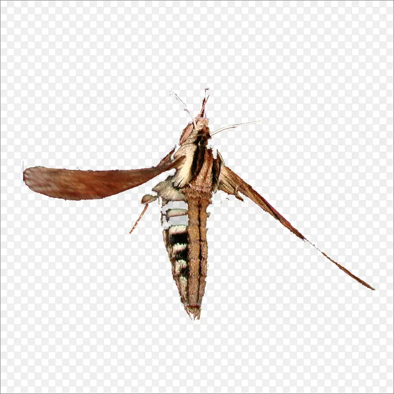 �ɶ�-������