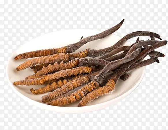 �����Ĳ�-������