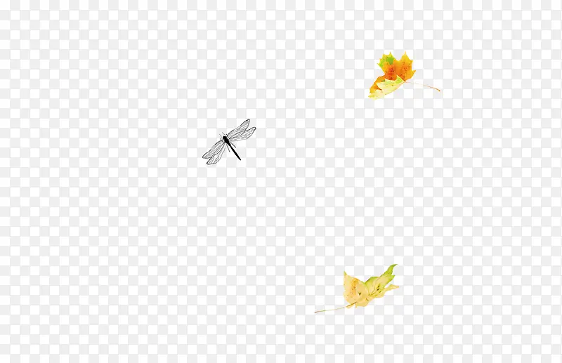 ����-������