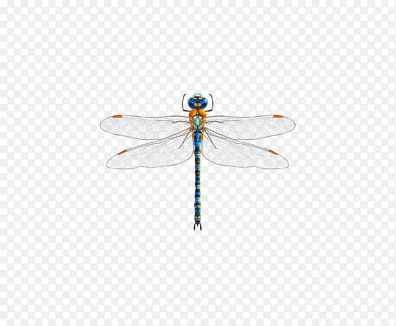 ʸ����ɫ������-������