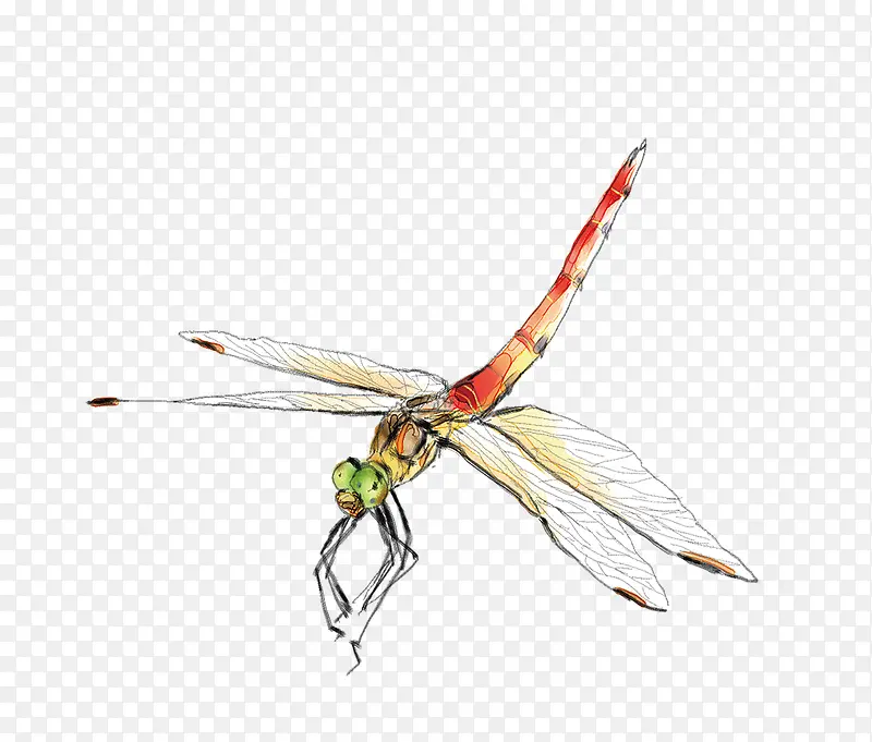 ����-������