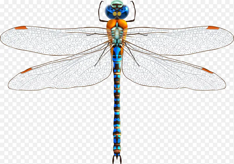 ����ʸ��ͼ-������